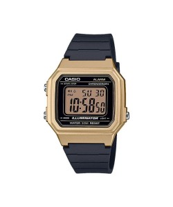 ΡΟΛΟΙ ΧΕΙΡΟΣ CASIO STANDARD W-217HM-9AVEF